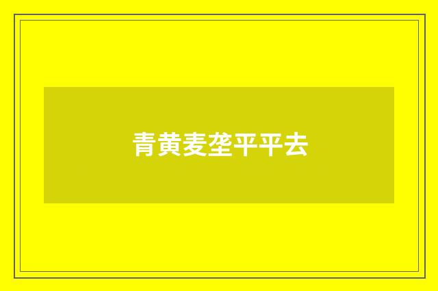 青黄麦垄平平去