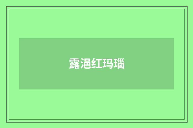 露浥红玛瑙