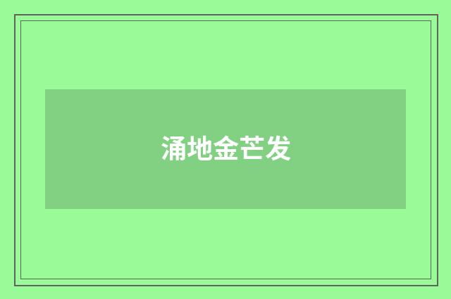 涌地金芒发