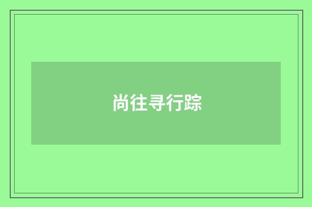 尚往寻行踪