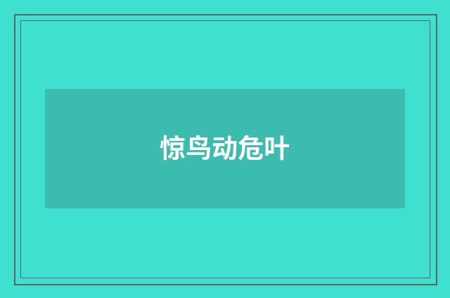 惊鸟动危叶