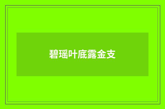 碧瑶叶底露金支