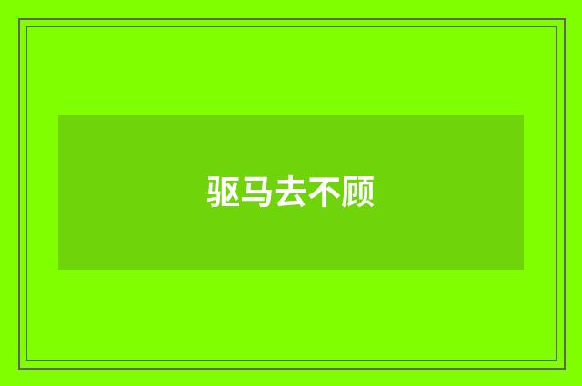 驱马去不顾