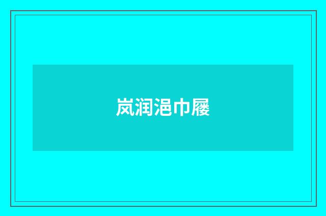 岚润浥巾屦