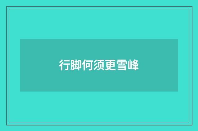 行脚何须更雪峰