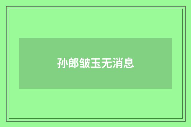孙郎皱玉无消息
