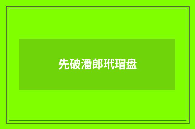 先破潘郎玳瑁盘