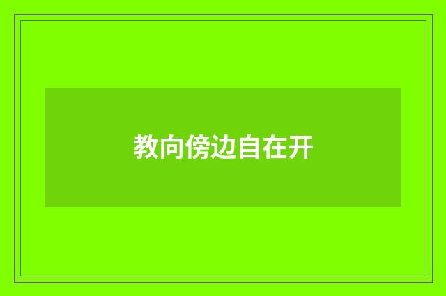 教向傍边自在开
