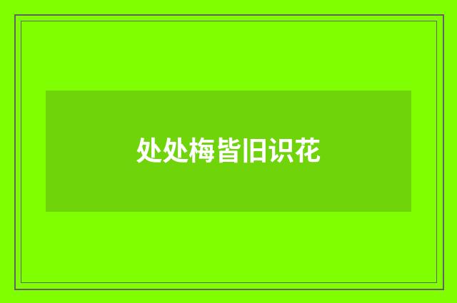 处处梅皆旧识花