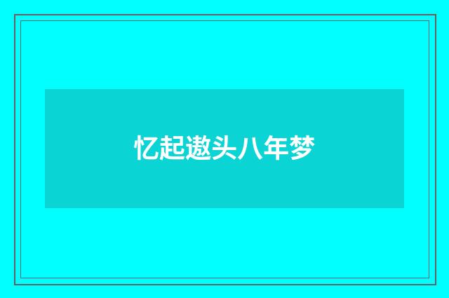 忆起遨头八年梦