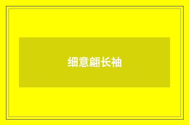 细意翩长袖