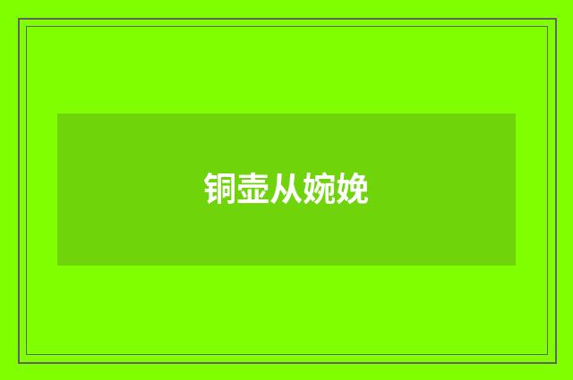 铜壶从婉娩