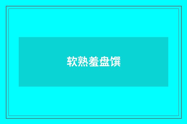 软熟羞盘馔