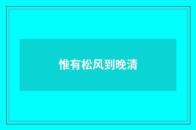 惟有松风到晚清