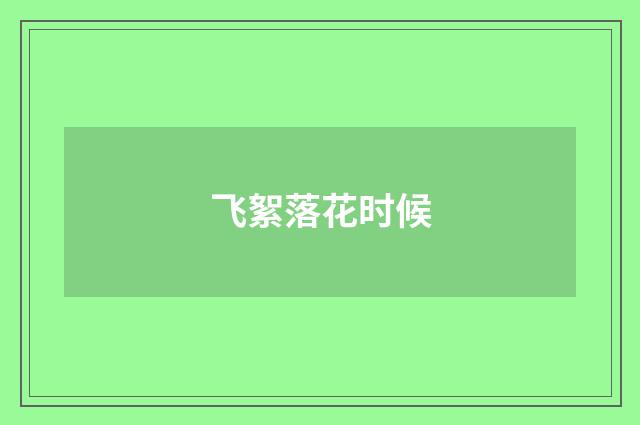 飞絮落花时候