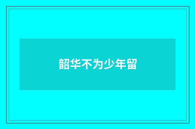 韶华不为少年留