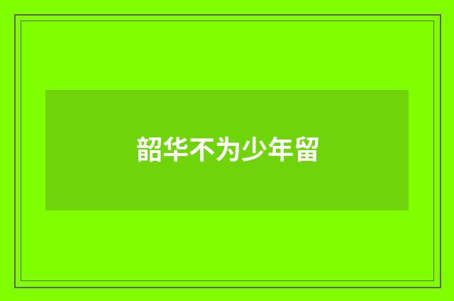 韶华不为少年留