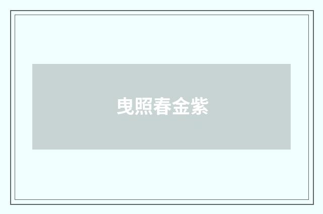 曳照春金紫