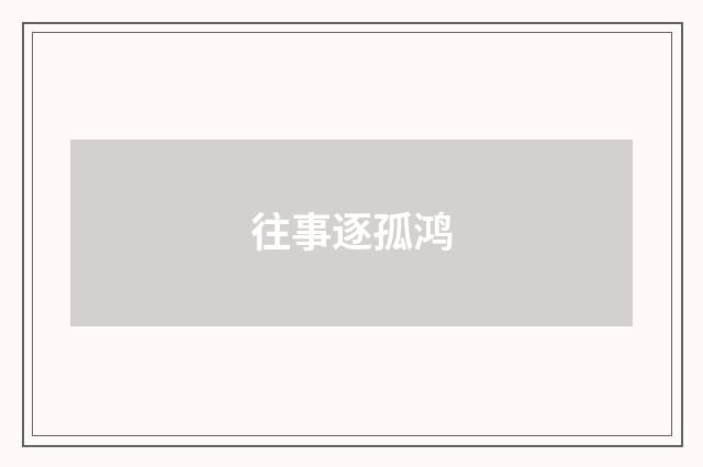 往事逐孤鸿