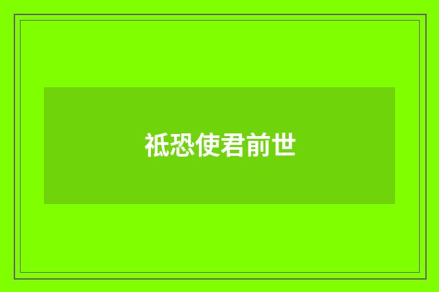 祗恐使君前世