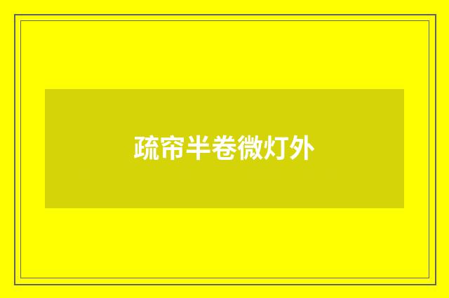 疏帘半卷微灯外