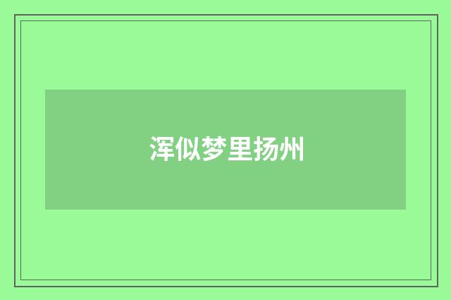 浑似梦里扬州