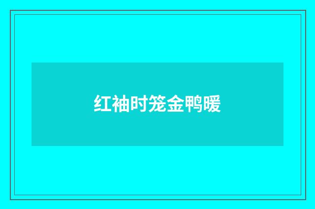 红袖时笼金鸭暖