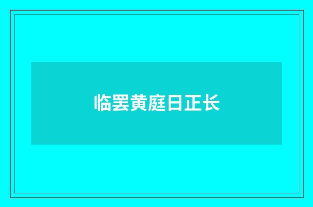 临罢黄庭日正长