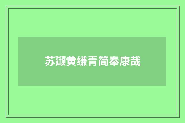 苏颋黄缣青简奉康哉