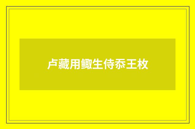 卢藏用鲰生侍忝王枚