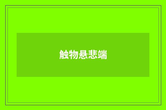 触物悬悲端
