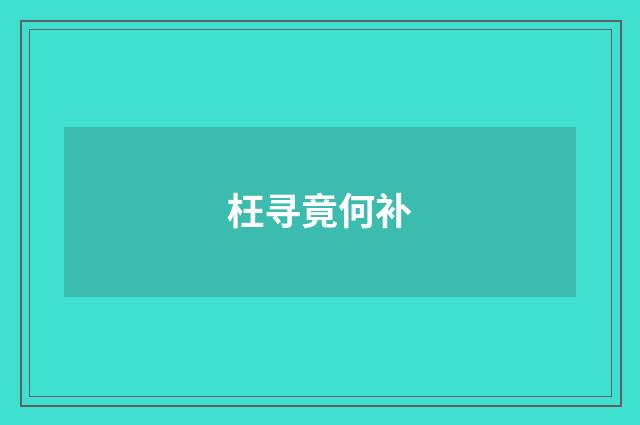 枉寻竟何补