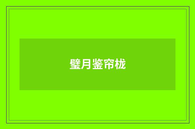 璧月鉴帘栊