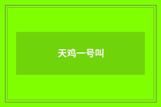 天鸡一号叫