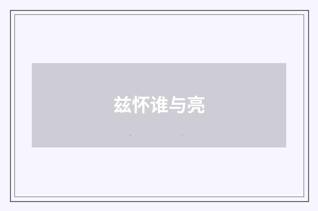 兹怀谁与亮