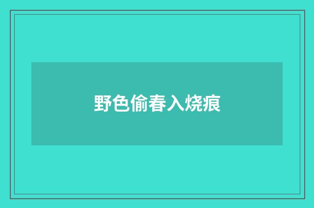 野色偷春入烧痕