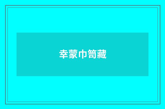 幸蒙巾笥藏
