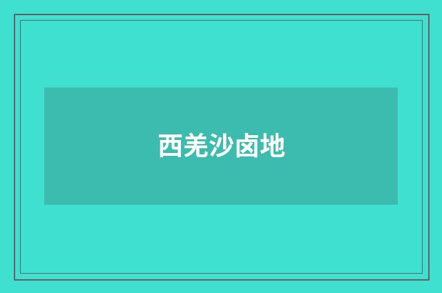 西羌沙卤地
