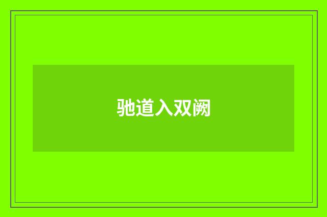 驰道入双阙