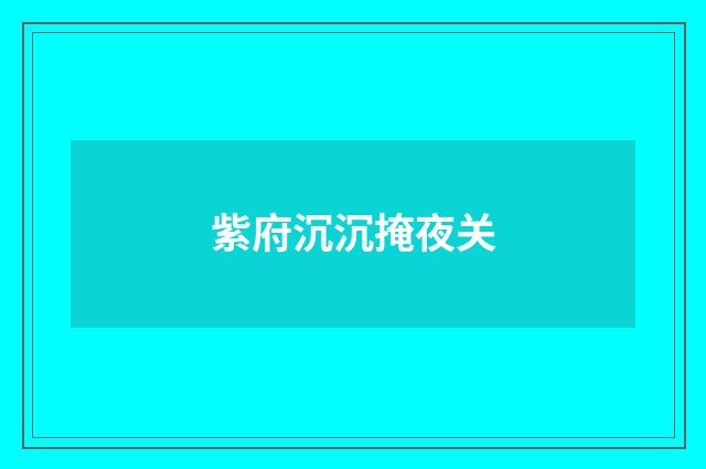 紫府沉沉掩夜关