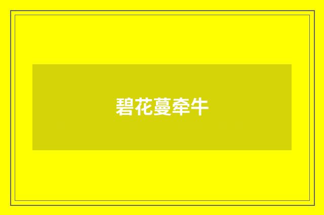 碧花蔓牵牛