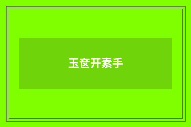 玉奁开素手
