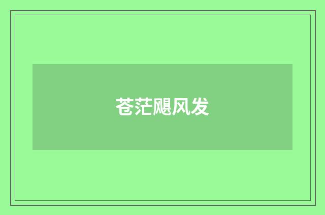 苍茫飓风发