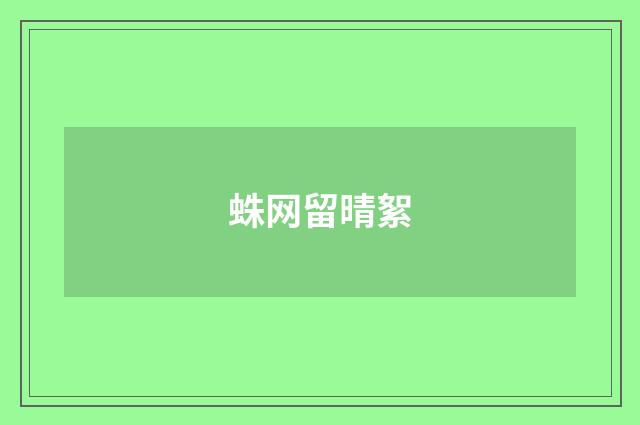 蛛网留晴絮