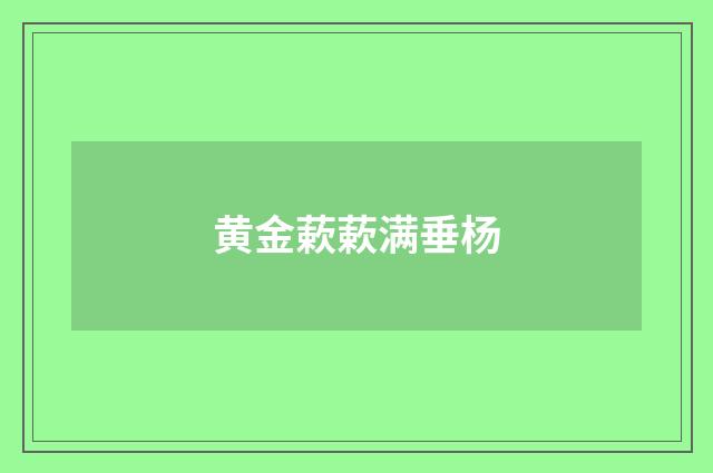 黄金蔌蔌满垂杨