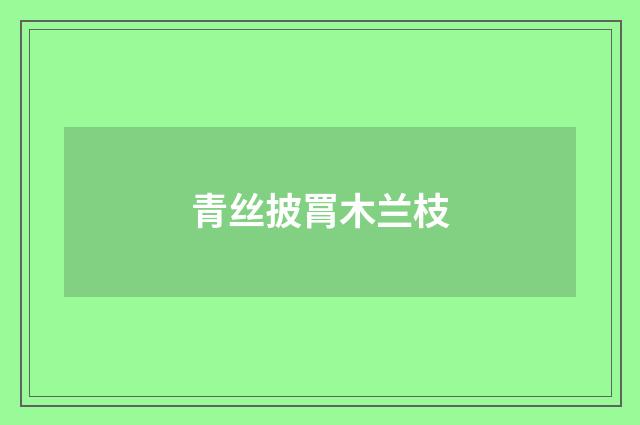 青丝披罥木兰枝