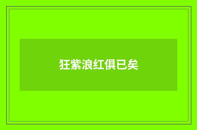 狂紫浪红俱已矣