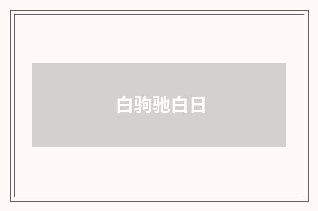 白驹驰白日
