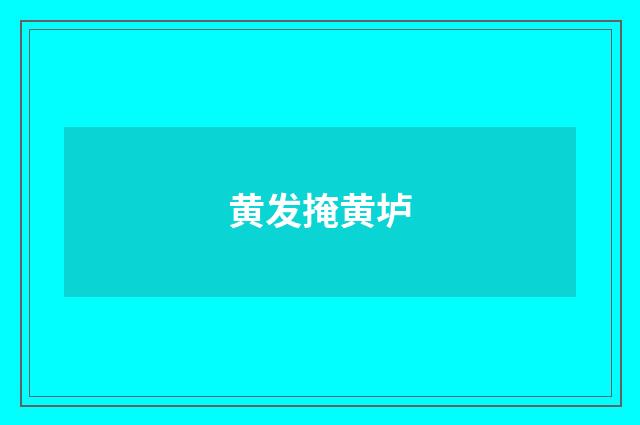 黄发掩黄垆