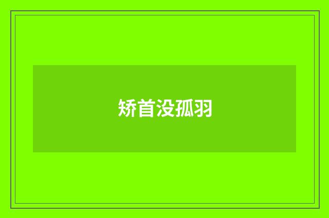 矫首没孤羽